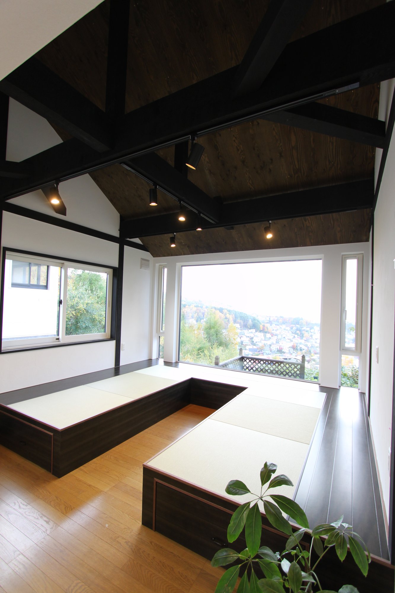 view
